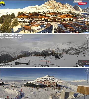 Webcams as a Remote Tool for Eco-ethological Research: A Study on the Alpine Chough